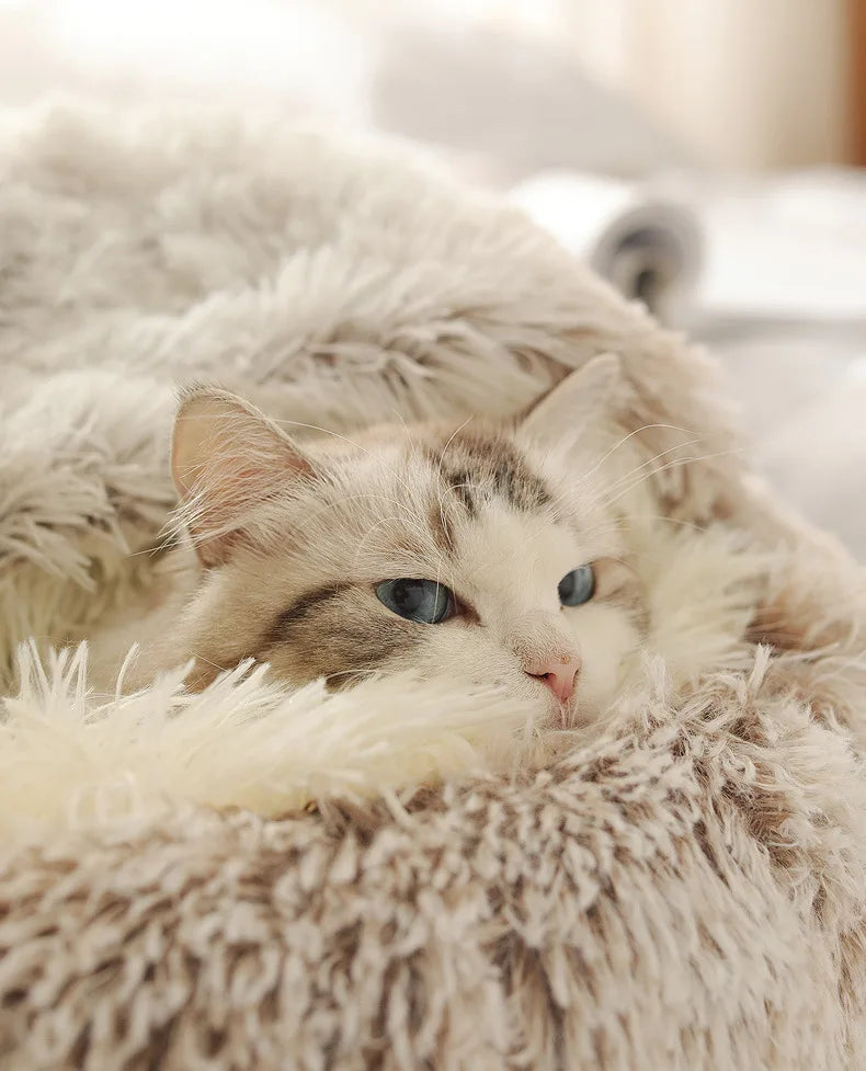 Soft Plush Winter Pet Bed & Cat Nest